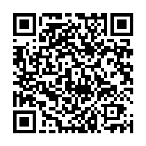 灵宝再一次挥动着短小的前爪刨出一颗硕大的人参之后二维码生成