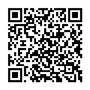 灵田和药田的种植相对于炼制灵丹炼器要简单多二维码生成