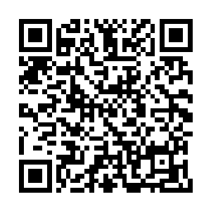 灵界大陆不是你们龙凤族或者苏族一家两家的事二维码生成