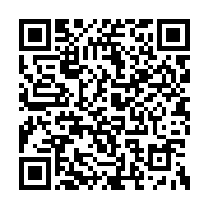 灵能护盾振荡频率等等关键数据发送给了雷成虎二维码生成