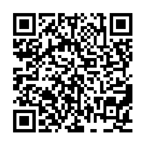 灵魂形体更是在无形剑气不断的磨砺中发生着一些莫名的转变二维码生成
