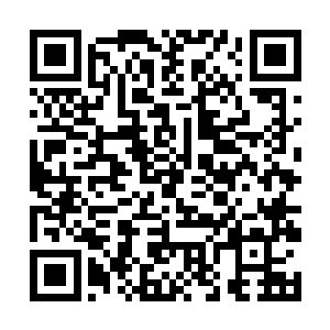 炎神之主恐怕是唯一一个和至尊沾上一些关系的主宰二维码生成