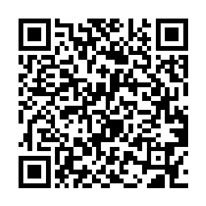 炎魔与田媛媛几乎将身体里的所有力量都是催动而出二维码生成