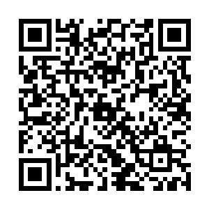 炼制丹药的过程当中会将一些能量自主的存在丹药当中二维码生成