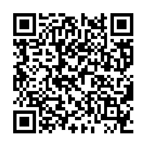 炼成了这号称最难炼的十九种魔火之一的暗狱魔炎二维码生成