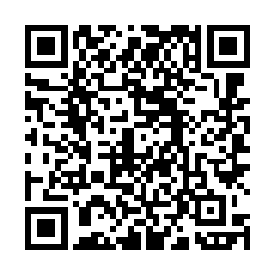 炼狱神鼎原本乃是神界之中的绝顶强者炼狱大帝的法宝二维码生成