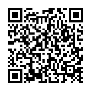 炼药师公会还有武魂圣殿对杨风的支持他们也是看到了二维码生成