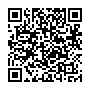 炼骨族的文明起源会不会和这艘飞船中发现的物品有关二维码生成