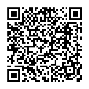 烈火凶星草顿时就喷出一道蕴含着星辰之力的火焰朝着司徒摘星轰击过去二维码生成