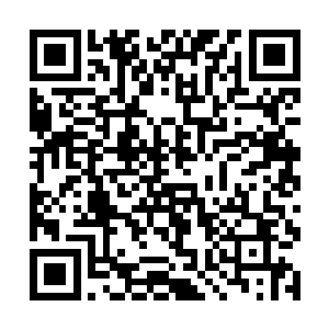 烈烈跳动的红焰几乎将空间也燎烤的有些扭曲了起来二维码生成