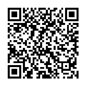 烈焰城的大批护卫以及数名圣王也纷纷从城主府赶了过來二维码生成