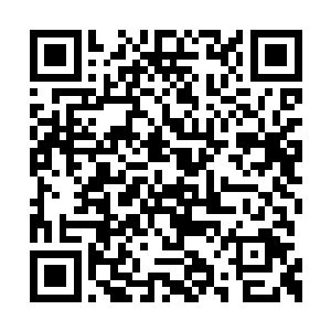 烈焰门的三大长老对这位纷嫩的女娃娃很是尊敬二维码生成