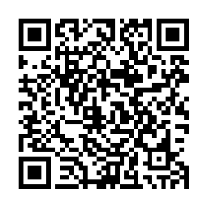 烛龙经上的战技张铁是靠大帝级功法的强悍用演化模拟而出二维码生成
