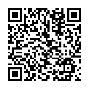 烛龙经中几种战技和秘法自动在张铁的脑袋之中演化起来二维码生成