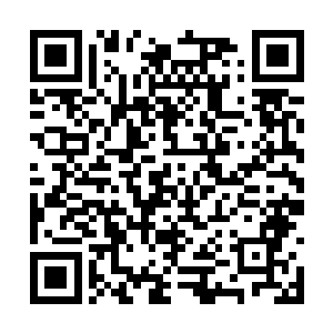烟灰色的羊绒背心下换了一件干净的白色衬衣之后二维码生成