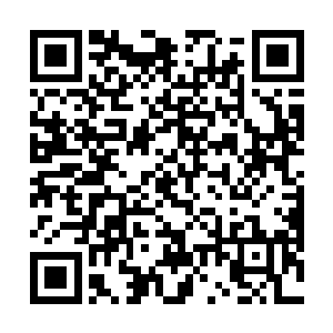 热情的上前拜见老大想博得一个拥抱却被老大无视之后二维码生成