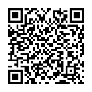 焉知不是百年前某位高人留下根茎才能产生的机缘二维码生成