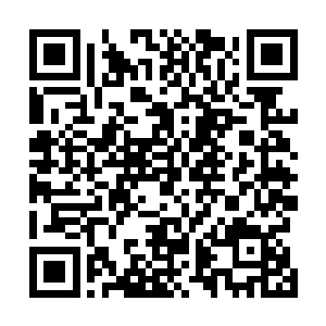 焦挺带着五百人护送王伦和许贯忠等人径往礼成官衙而去二维码生成