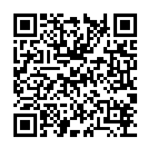 焱龙大帝见夏云杰没有露出哪怕一点点的惊慌之色二维码生成