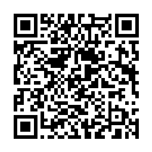 焱龙大帝趁赤炎天龙帝探索上古仙墟重伤而归之际二维码生成