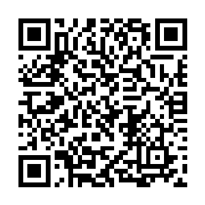 然后一张带着婴儿肥的包子脸少女从内探了出来头来二维码生成