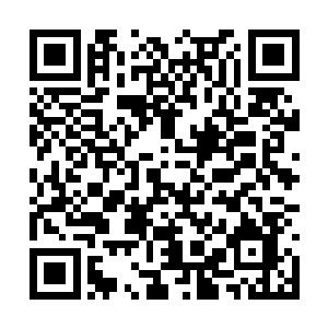 然后一整套流利的方氏太极便源源不断地流敞出来二维码生成