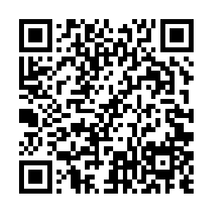 然后一股巨大的气流从灵王分解开的身体中爆发出来二维码生成