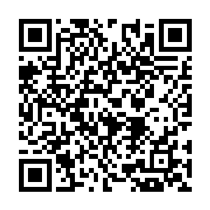 然后下一刻他们就不停的打量蠢蠢和那光滑的石壁二维码生成