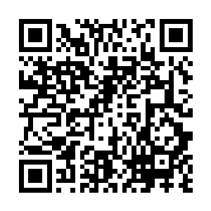 然后不约而同的把目光看向了那名化神后期巅峰的老者二维码生成