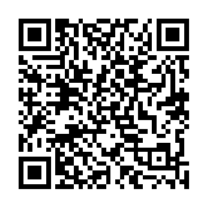 然后两个人把宝贵的时间和子弹都打在了同一个人的身上二维码生成