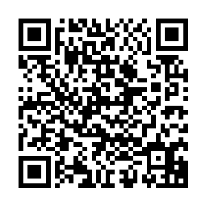 然后两米不到的雅致围墙翻进来七八个双手持手枪的强壮汉子二维码生成