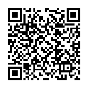 然后也很顺理成章的把两人送到一个截拳道的武馆二维码生成