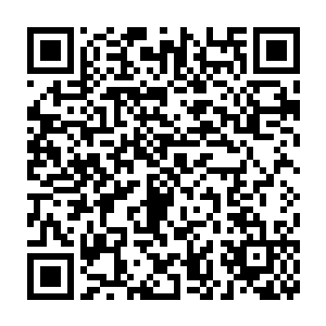 然后亲自和一个畜牧局的技术员抱着五只兔子迈步走到了她们身边二维码生成