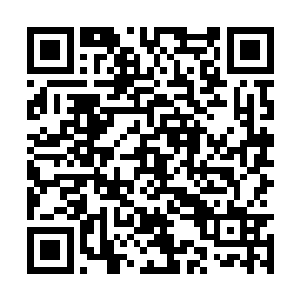 然后从吞海贝中拿出一件极厚的裘皮大衣披在身上二维码生成