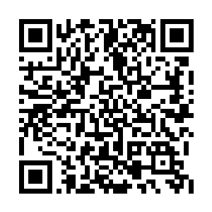然后从自己的空间戒里取出许多稀奇古怪的东西二维码生成