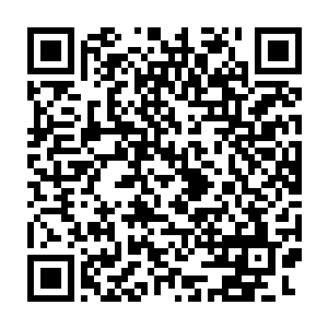 然后他们便见到许紫烟开始用仙丹换取混沌兽尸体和域外天魔的精魄二维码生成