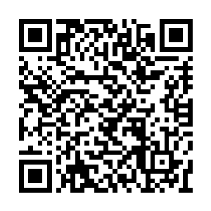 然后他就感觉到帝刀上瞬间就受到了十几下攻击二维码生成