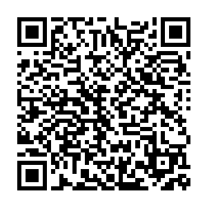 然后他就把通天树树心精髓中那几乎是无穷无尽的生命力打了出来二维码生成