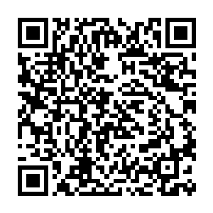 然后他收敛起灵力和自身气息轻轻的落到地面上踩在厚厚的枯叶上二维码生成