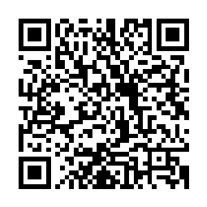 然后以不可思议的速度融入了他手中那个篮球大小的念能石之中二维码生成