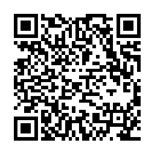 然后以比龟速更慢的蜗牛的速度在仙力通道当中运转了起来二维码生成
