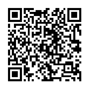 然后伸手放到她肩膀上一股庞大的灵力涌入了她的身体二维码生成