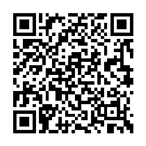 然后便七手脚地将红河集团公司的石狮子给拆了二维码生成