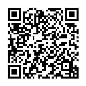 然后借着捡餐巾的机会从桌子底下看了对面的汉娜一眼二维码生成