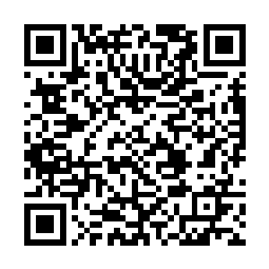 然后兴致冲冲地去割了两条狼腿跑到湖边去剥皮清洗二维码生成