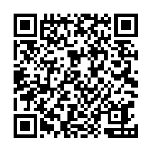 然后其余的十一柄仙剑就在众人的视野中隐入了太虚剑中二维码生成