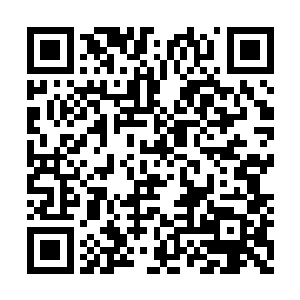 然后再把骨灰撒到杏花小院外的那条河中就是了二维码生成