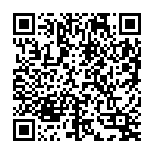 然后再看看眼前巴掌大的小白泽……呃……这需要很丰富的想象力才行二维码生成