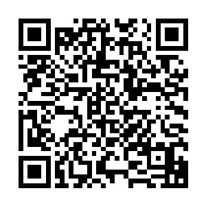 然后再舔着脸屁颠屁颠地拿着阵灵之主去和燕山魂换阵盘……二维码生成