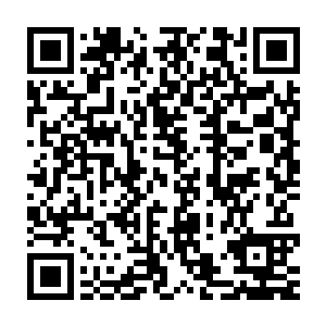 然后再麻烦各位师兄把剩下的两箱材料和两箱仙晶分发给外面的弟子二维码生成